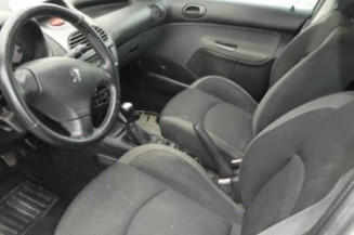 Porte arriere gauche PEUGEOT 206