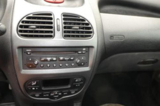 Porte arriere gauche PEUGEOT 206