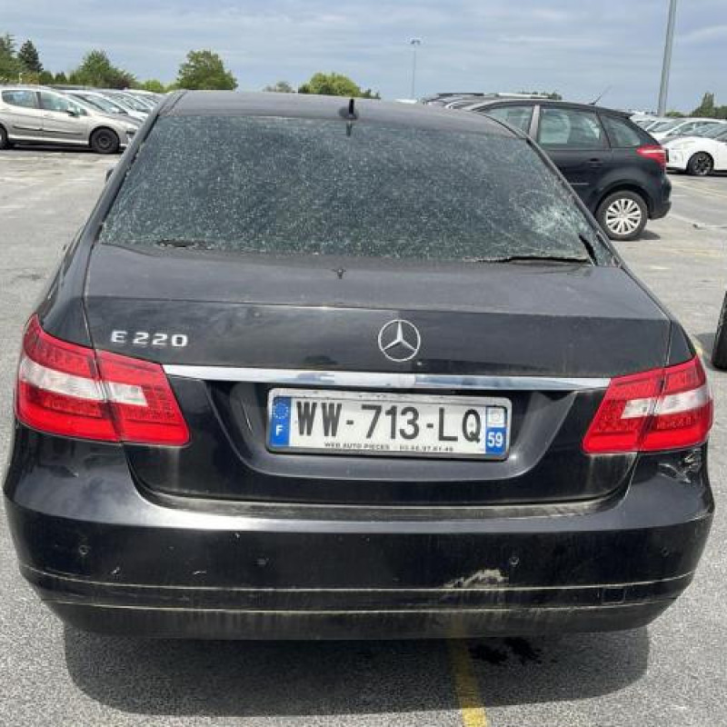 Porte arriere gauche MERCEDES CLASSE E 212 Photo n°9