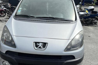 Calandre PEUGEOT 1007