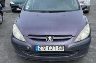 Custode avant droit (porte) PEUGEOT 307