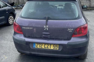 Custode avant droit (porte) PEUGEOT 307