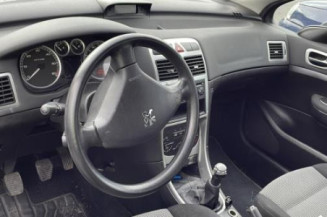 Custode avant droit (porte) PEUGEOT 307