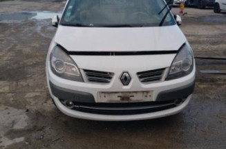 Vase de lave glace RENAULT SCENIC 2