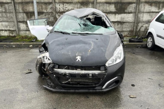 Custode arriere gauche PEUGEOT 208 1