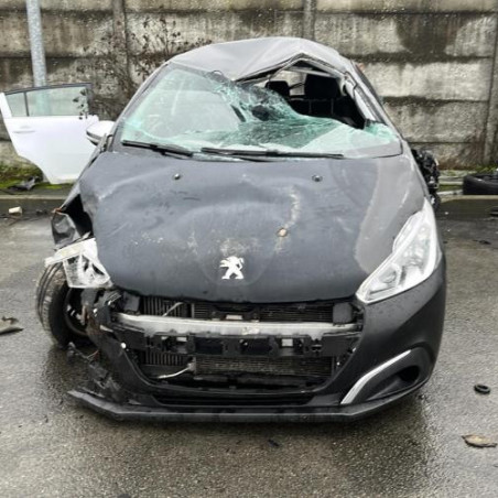 Custode arriere gauche PEUGEOT 208 1