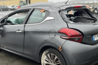 Custode arriere gauche PEUGEOT 208 1