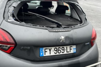 Custode arriere gauche PEUGEOT 208 1