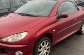 Custode arriere droit PEUGEOT 206