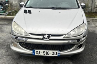 Debitmetre PEUGEOT 206