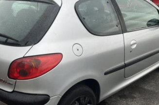 Debitmetre PEUGEOT 206