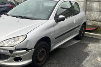 Debitmetre PEUGEOT 206