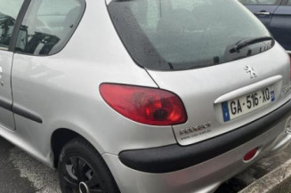 Debitmetre PEUGEOT 206