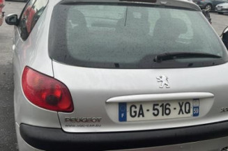 Debitmetre PEUGEOT 206