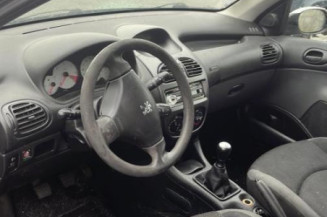 Debitmetre PEUGEOT 206