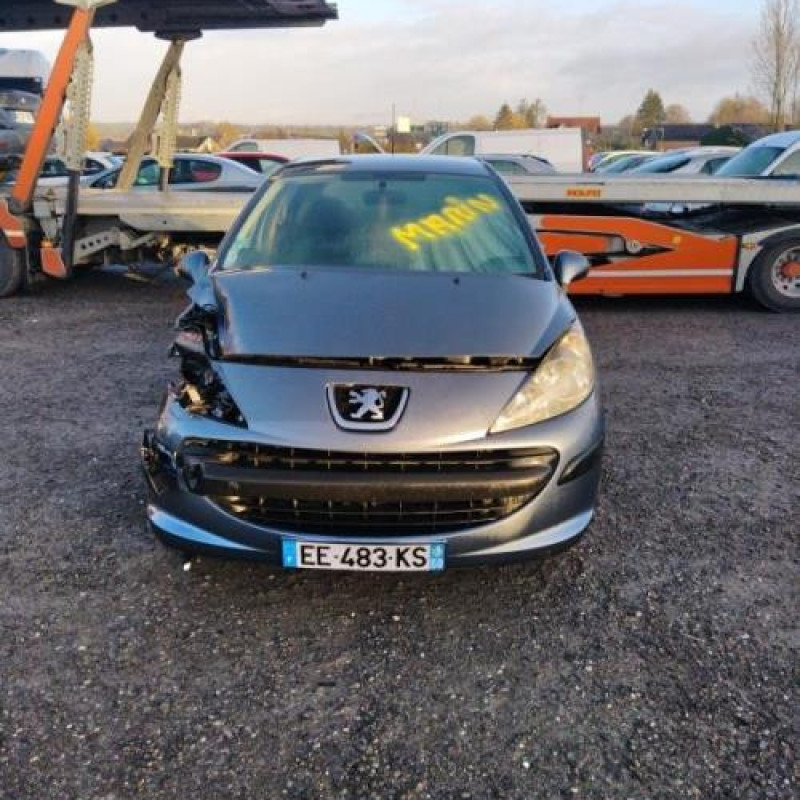 Poignee interieur arriere gauche PEUGEOT 207 Photo n°4