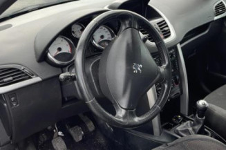 Ecran GPS PEUGEOT 207