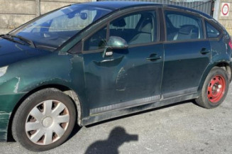 Porte arriere gauche CITROEN C4 1