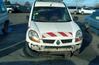 Porte de coffre gauche RENAULT KANGOO 1