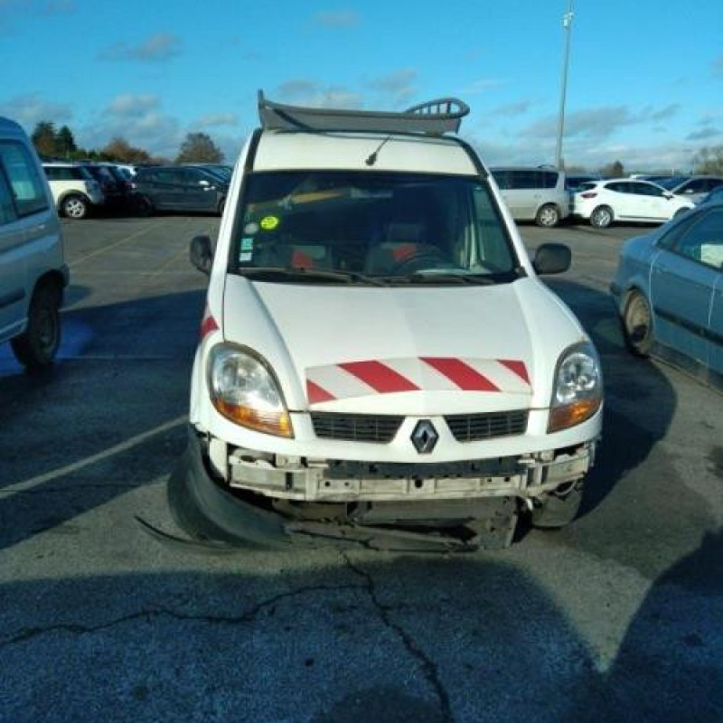 Porte de coffre gauche RENAULT KANGOO 1 Photo n°6