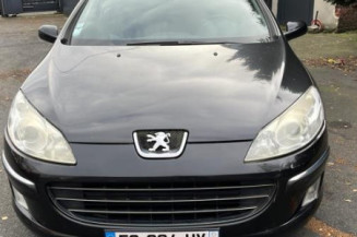 Arret de porte avant gauche PEUGEOT 407