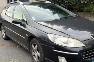 Arret de porte avant gauche PEUGEOT 407