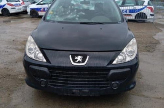 Malle/Hayon arriere PEUGEOT 307