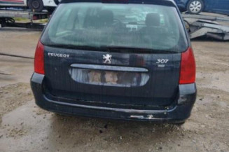 Malle/Hayon arriere PEUGEOT 307