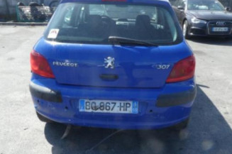 Capot PEUGEOT 307