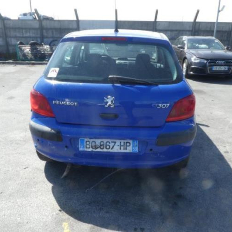 Porte arriere droit PEUGEOT 307 Photo n°8