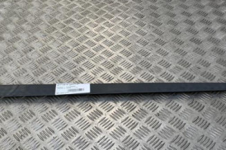 Baguette de porte arriere gauche  RENAULT LAGUNA 2