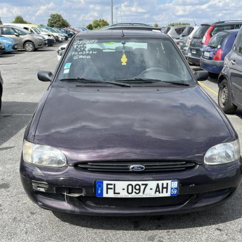 Porte arriere droit FORD ESCORT 6 Photo n°8