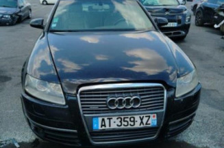 Malle/Hayon arriere AUDI A6 3