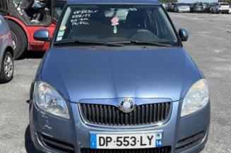 Porte arriere droit SKODA FABIA 2