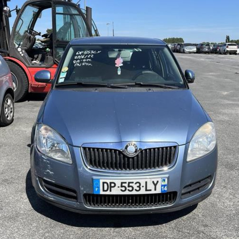 Porte arriere droit SKODA FABIA 2 Photo n°8