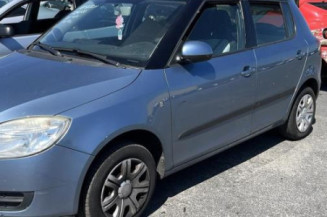 Porte arriere droit SKODA FABIA 2