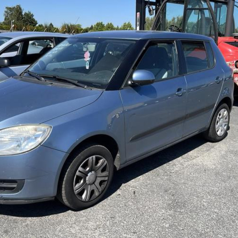 Porte arriere droit SKODA FABIA 2 Photo n°9