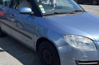 Porte arriere droit SKODA FABIA 2