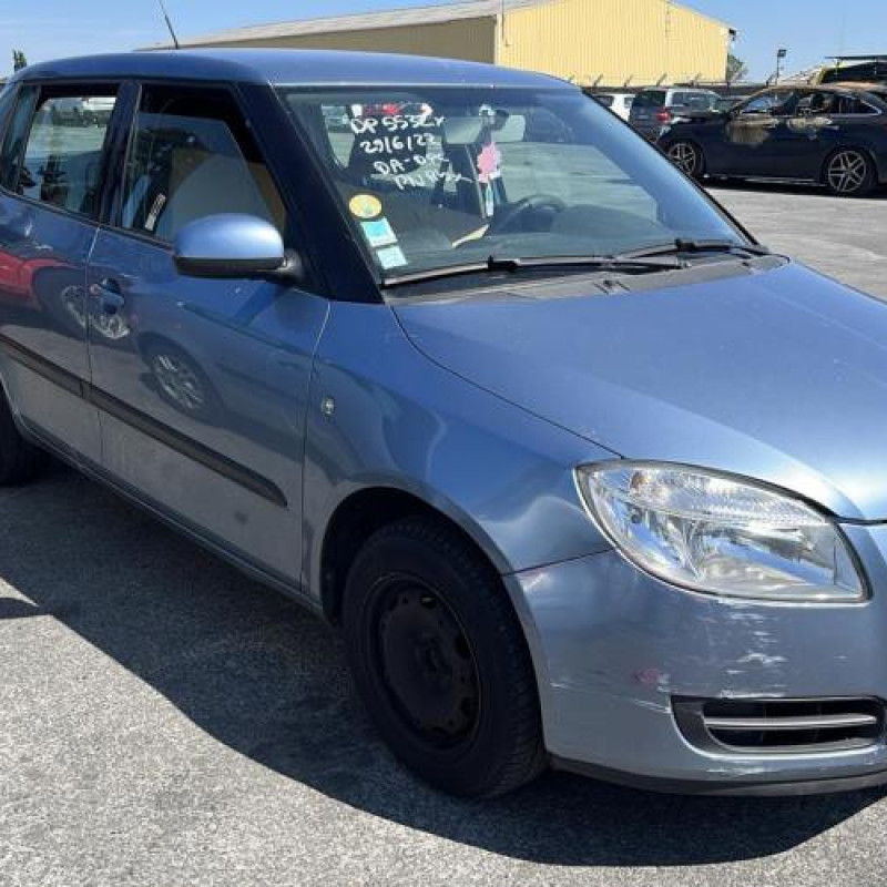 Porte arriere droit SKODA FABIA 2 Photo n°10