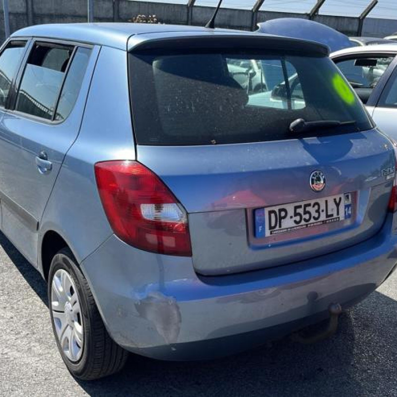 Porte arriere droit SKODA FABIA 2 Photo n°12