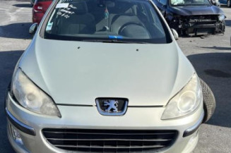 Malle/Hayon arriere PEUGEOT 407