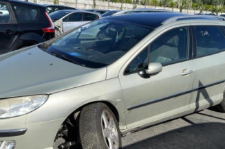 Malle/Hayon arriere PEUGEOT 407