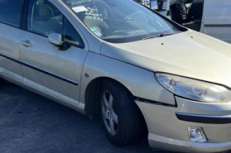 Malle/Hayon arriere PEUGEOT 407