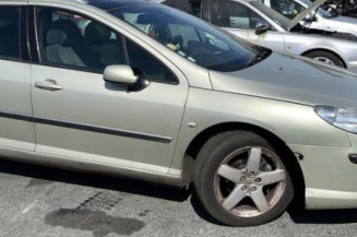 Cremaillere assistee PEUGEOT 407