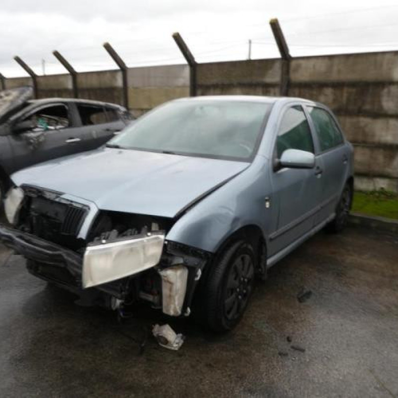 Porte arriere droit SKODA FABIA 1 Photo n°6