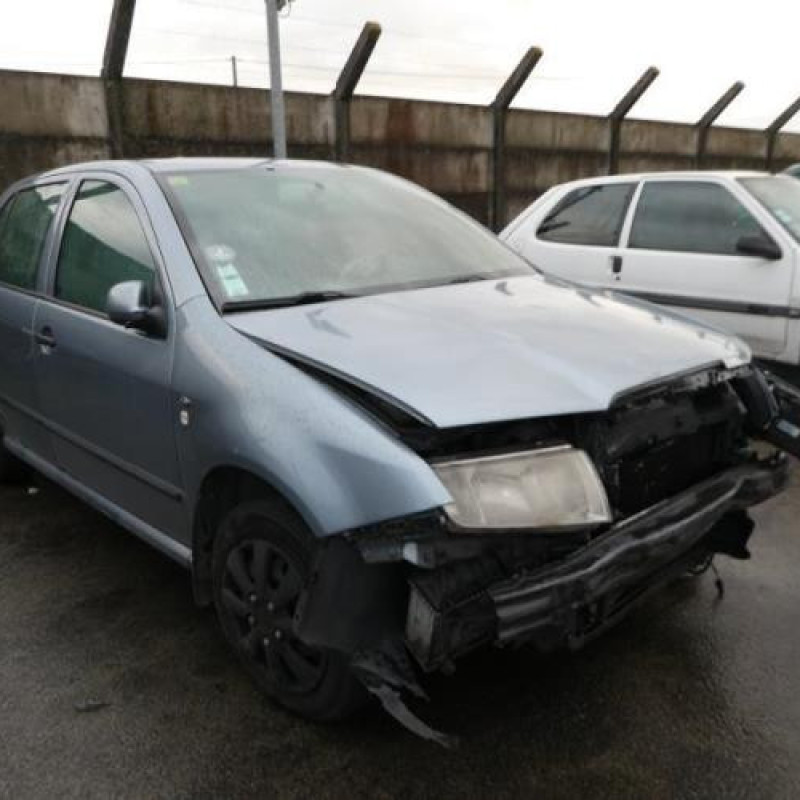 Porte arriere droit SKODA FABIA 1 Photo n°7