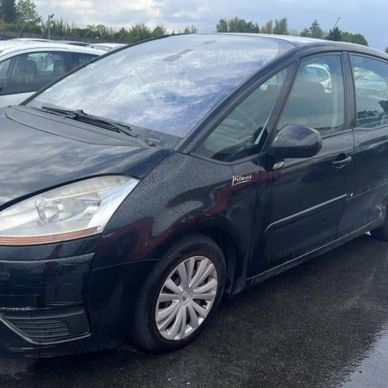 Porte arriere droit CITROEN C4 PICASSO 1 Photo n°6