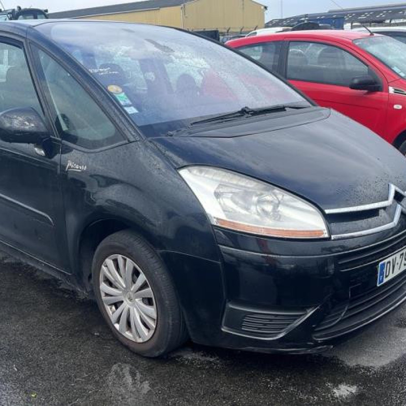 Porte arriere droit CITROEN C4 PICASSO 1 Photo n°7