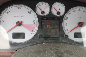 Debitmetre PEUGEOT 307