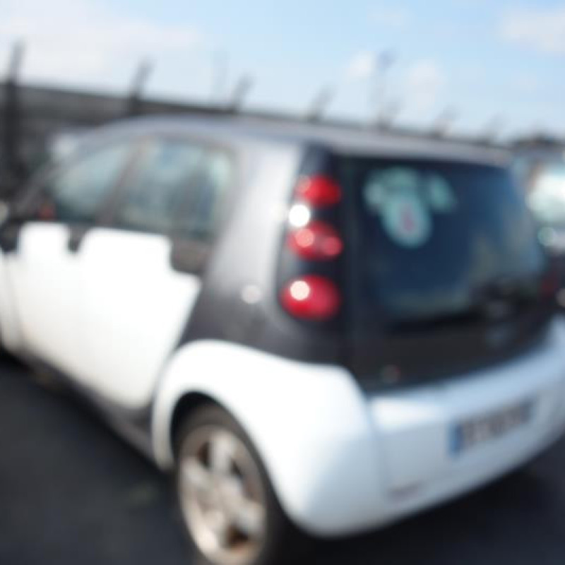 Porte arriere droit SMART FORFOUR 1 Photo n°8